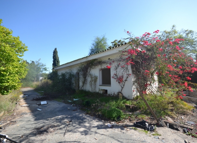 Plot Land en Sierra Blanca - 4