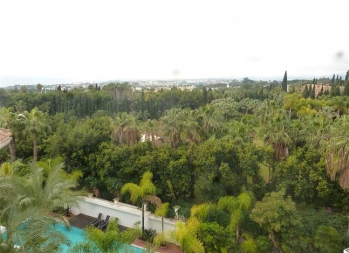 Apartment Penthouse in The Golden Mile Retiro de Nagueles  - 8