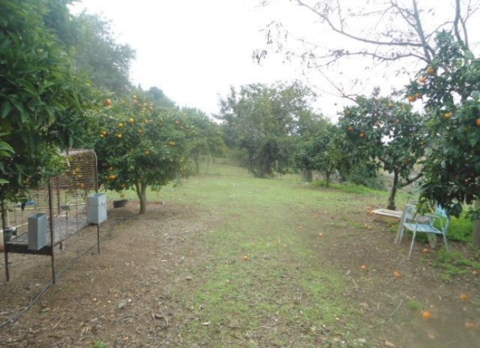 Villa Independiente en Estepona - 7