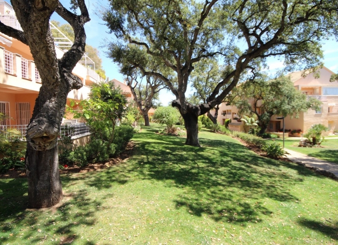 Appartement milieu d’Etage situé à Elviria Los Jardines de Santa María Golf  - 5