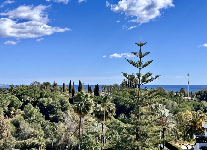 Apartment Penthouse in The Golden Mile Las Terrazas de las Lomas  - 6