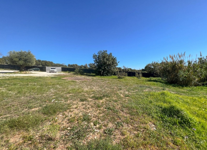 Plot Land in Sierra Blanca - 6