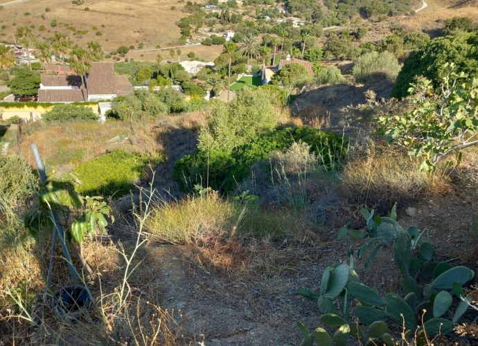 Plot Land en Estepona - 3