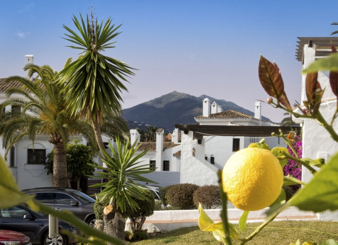 Apartamento Planta Baja en Nueva Andalucía Aldea Blanca  - 6