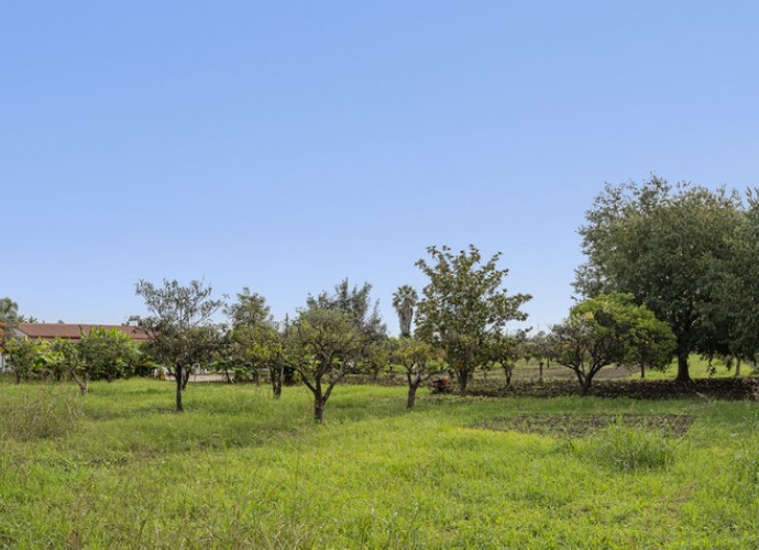 Plot Land en San Pedro de Alcántara - 8