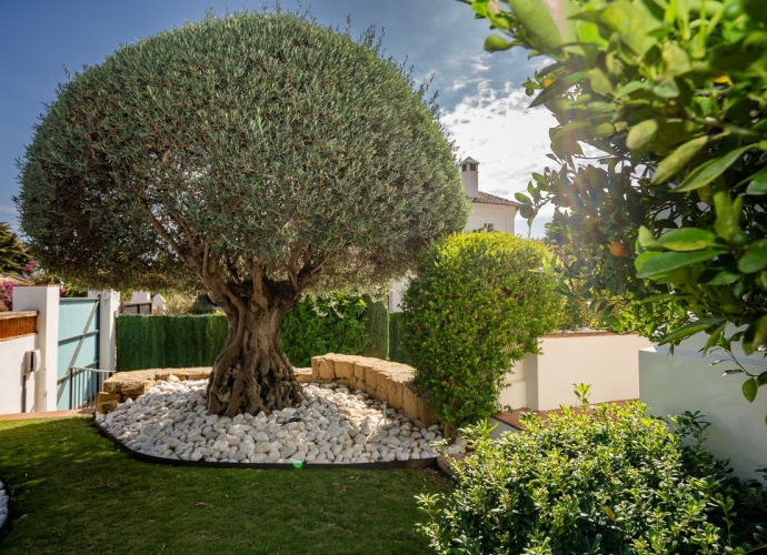 Villa Independiente en Guadalmina Baja - 7