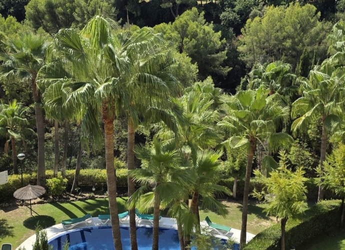 Apartamento Planta Media en Sierra Blanca - 1
