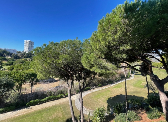 Apartamento Planta Baja en Río Real - 10
