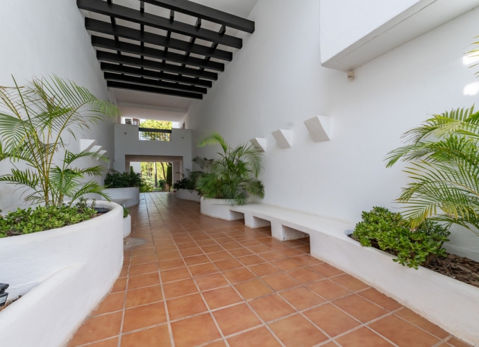 Apartamento Planta Media en Río Real - 3