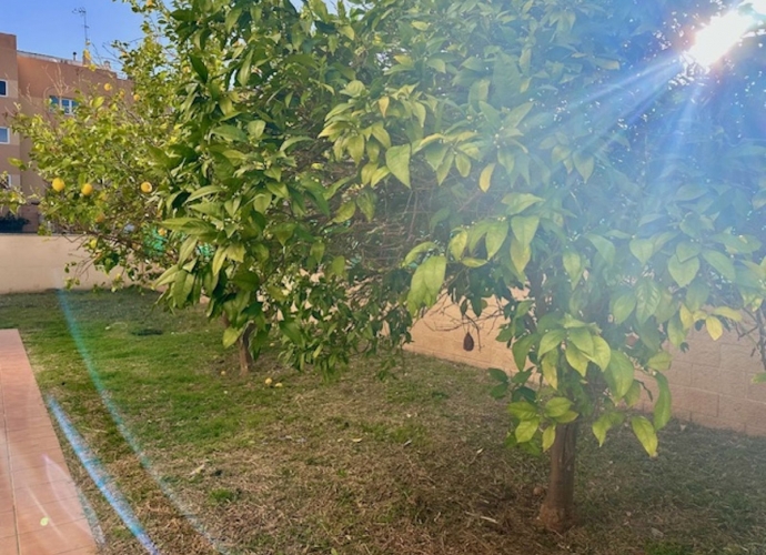 Apartamento Planta Baja en Estepona - 10