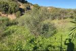 Plot Land in Elviria - 2 - slides