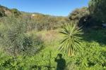 Plot Land in Elviria - 3 - slides